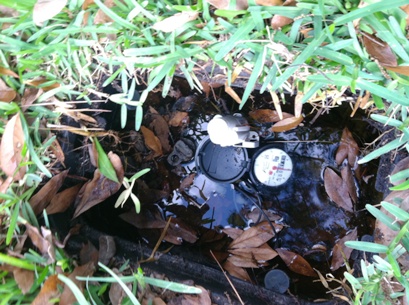 houston-water-bill-outrageous-41.JPG